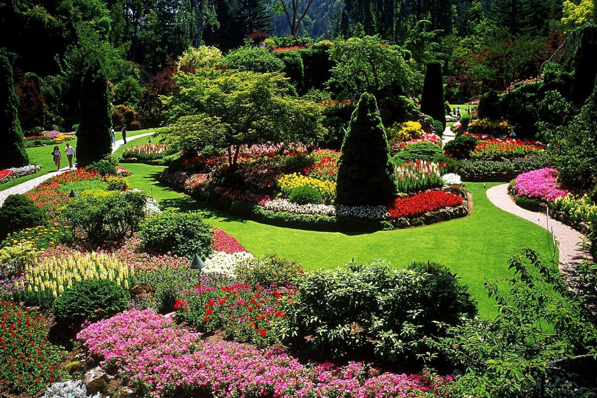 Enjoy Your House Landscape