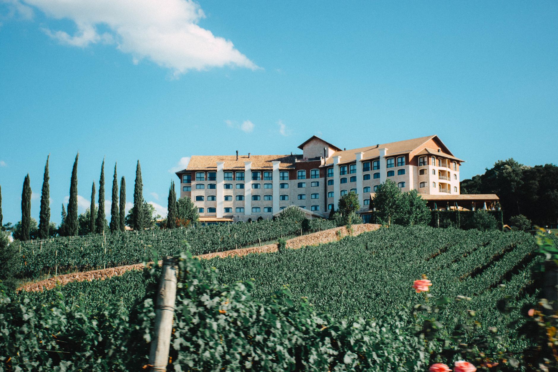 Mango Hill Hotels Expansion Plans: Proven Growth Strategy
